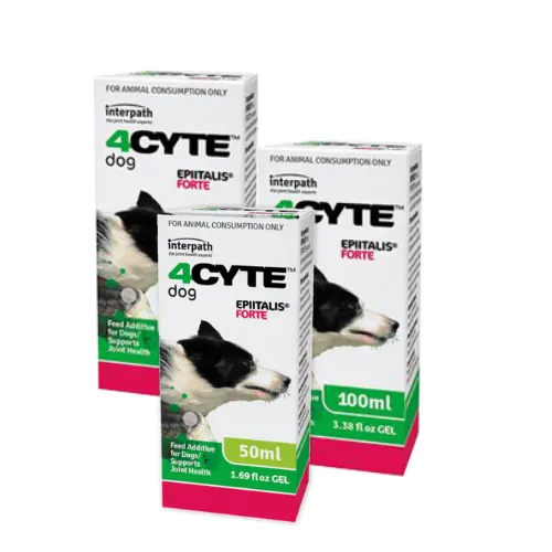 4CYTE Epiitalis Forte Gel for Dogs