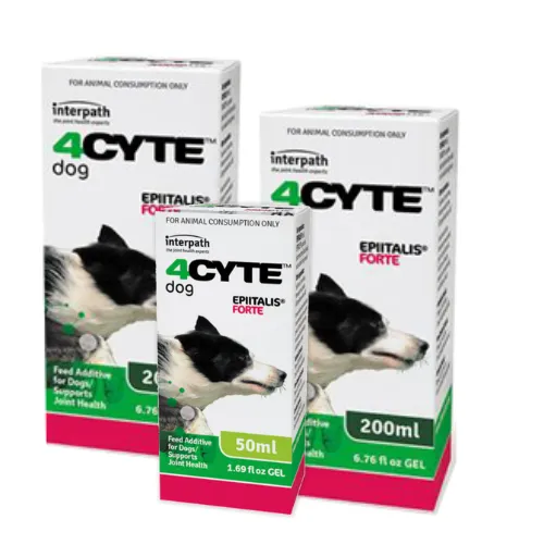 4CYTE Epiitalis Forte Gel for Dogs