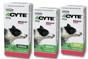 4CYTE Epiitalis Forte Gel for Dogs
