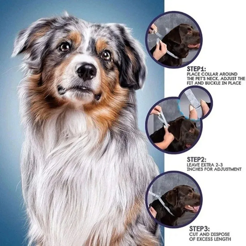 AnniePaw Dog Anti Flea Tick Collar 8 Month Adjustable Protection