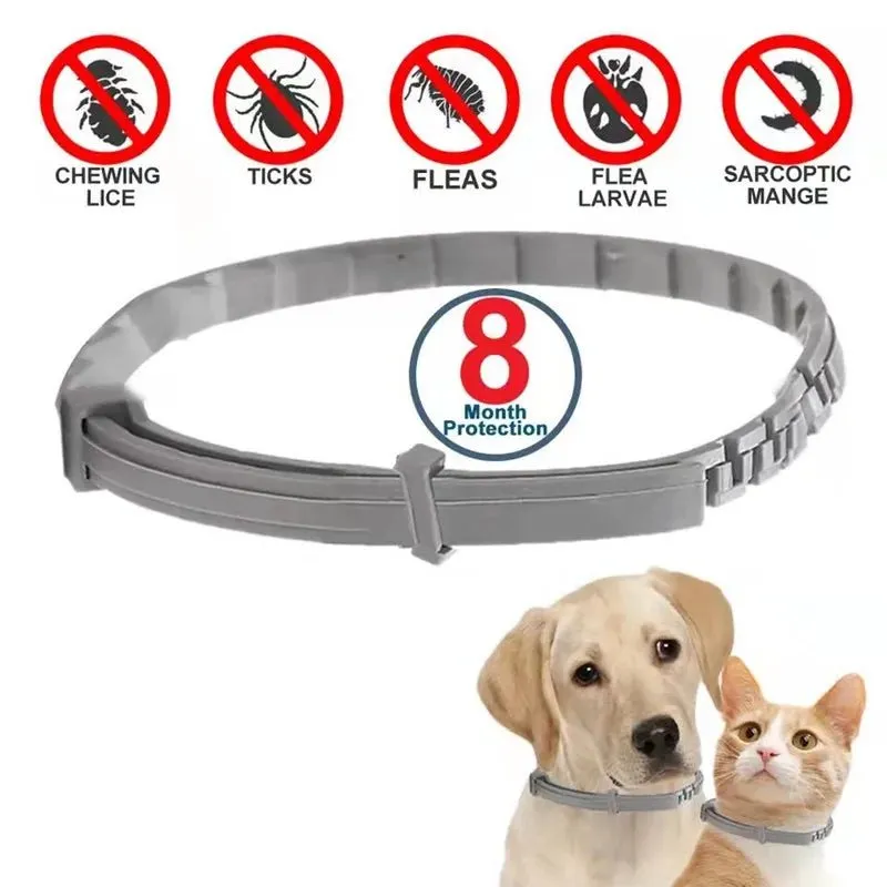 AnniePaw Dog Anti Flea Tick Collar 8 Month Adjustable Protection