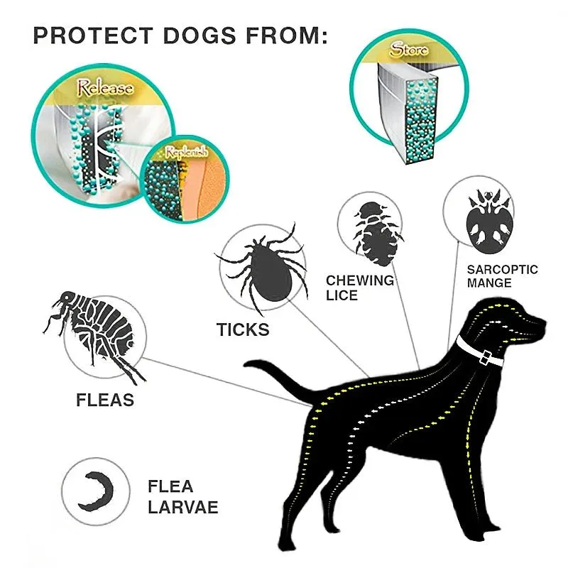 AnniePaw Dog Anti Flea Tick Collar 8 Month Adjustable Protection