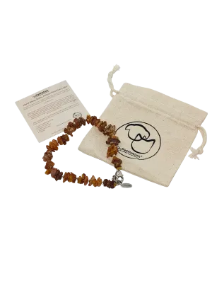 Authentic Baltic Amber Pet Necklace-