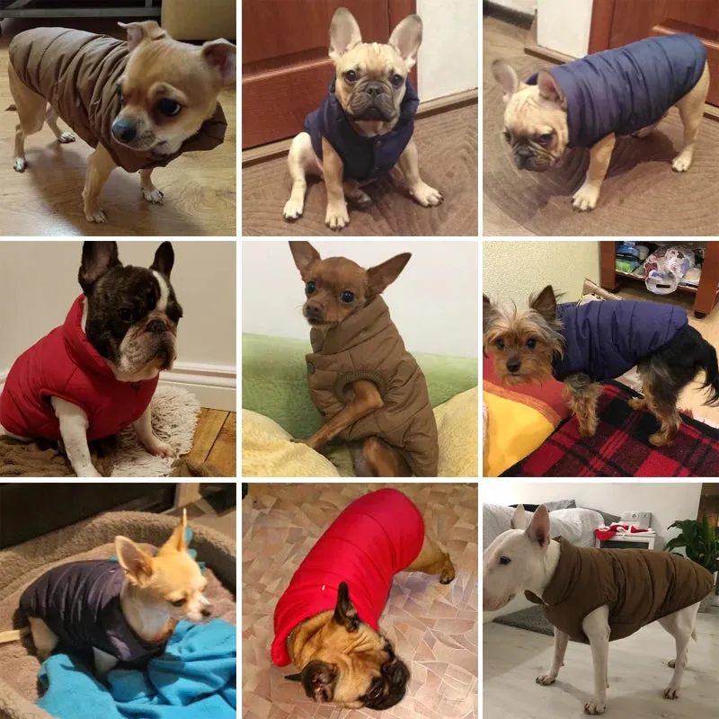 Autumn and Winter Dog Clothes: Fleece Warm Vest Jacket for Small Dogs and Cats - Cozy Pet Outfits for Chihuahuas, French Bulldogs, Pugs, and More
