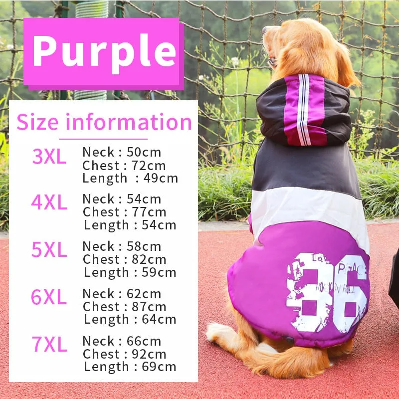 Big Dog clothes Coat Cotton-padded Hoodie