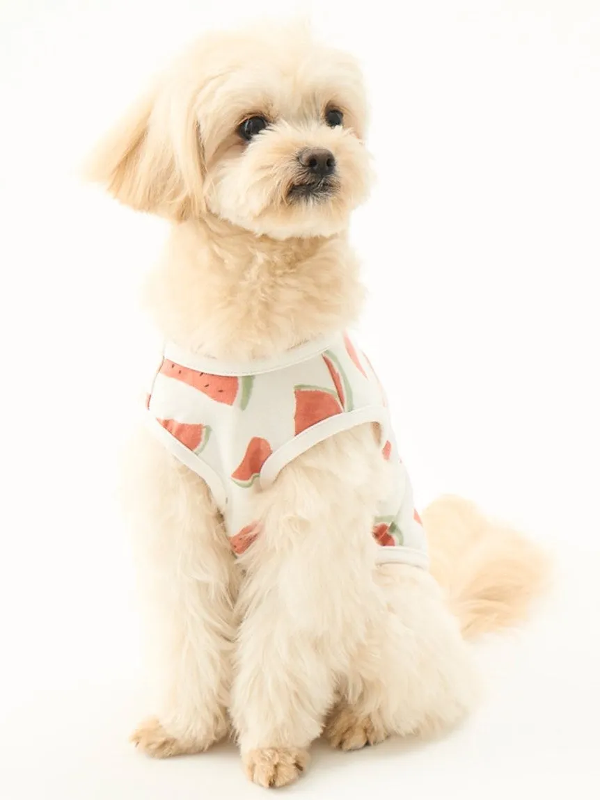 CAT&DOG Watermelon Motif COOL Pet Clothes
