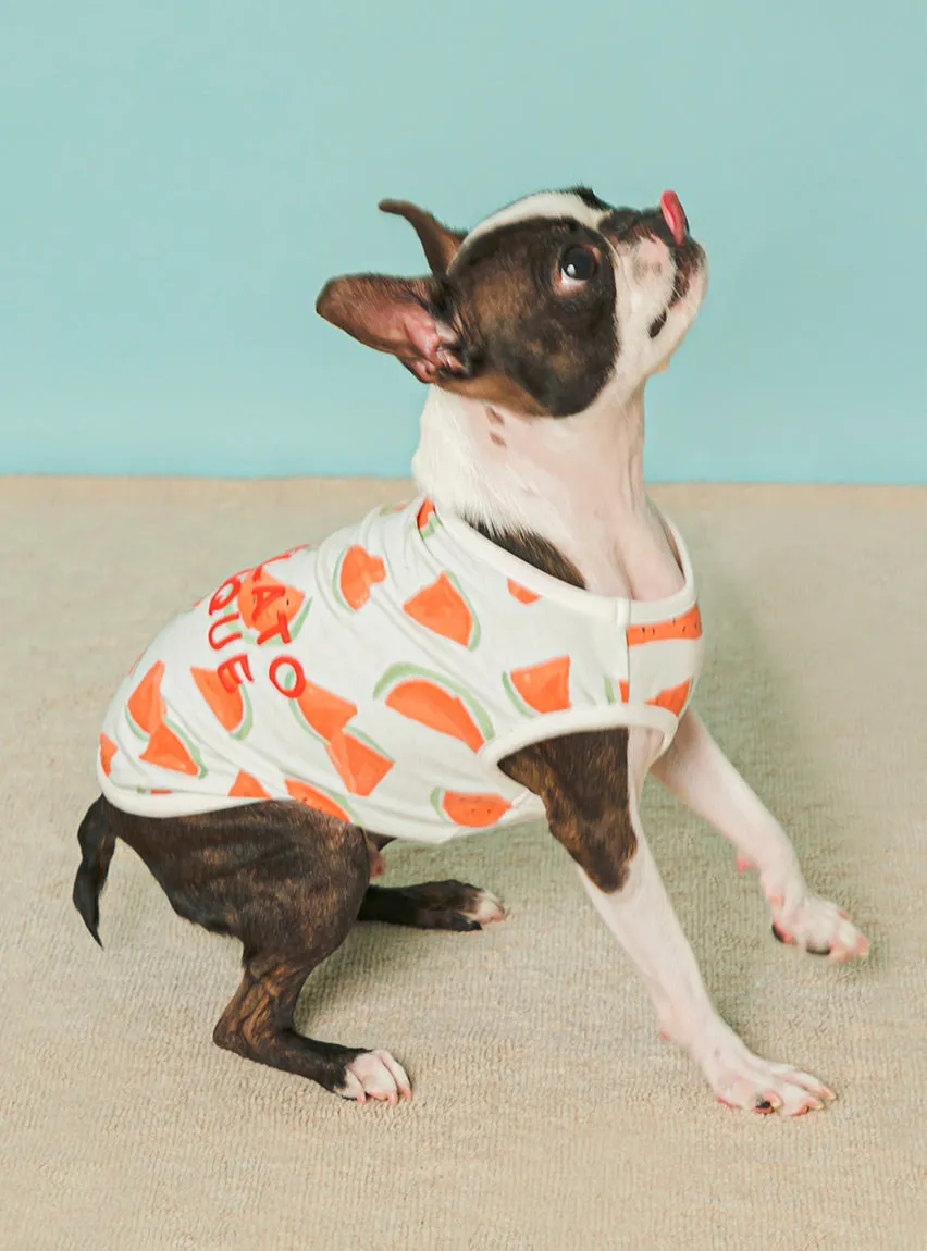 CAT&DOG Watermelon Motif COOL Pet Clothes