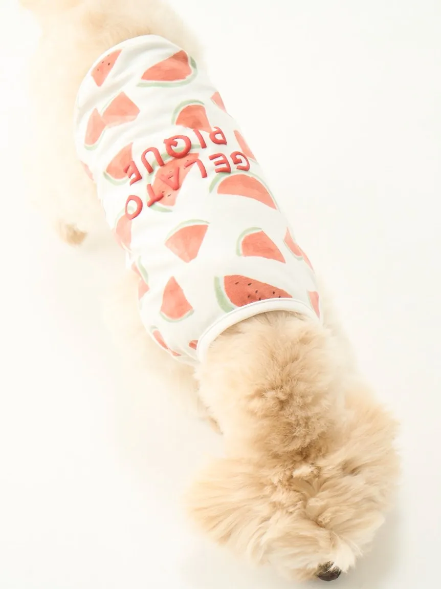 CAT&DOG Watermelon Motif COOL Pet Clothes