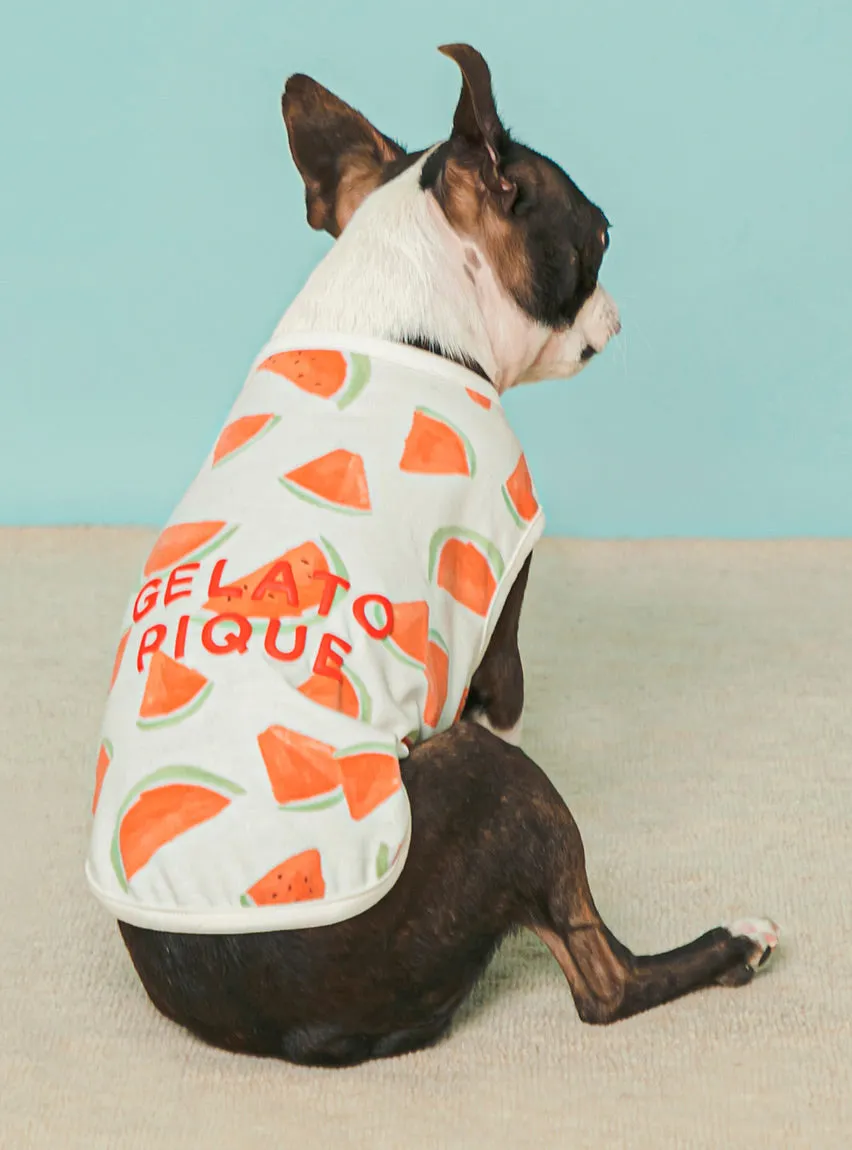 CAT&DOG Watermelon Motif COOL Pet Clothes