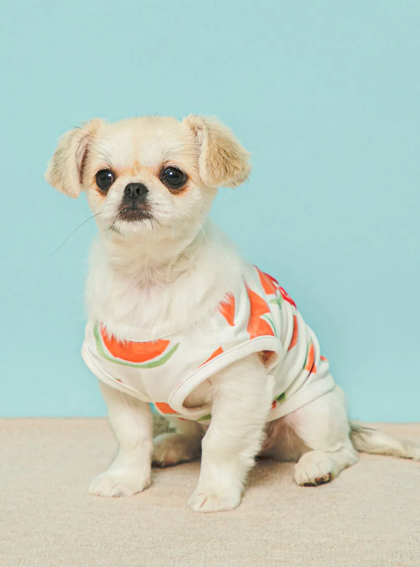 CAT&DOG Watermelon Motif COOL Pet Clothes