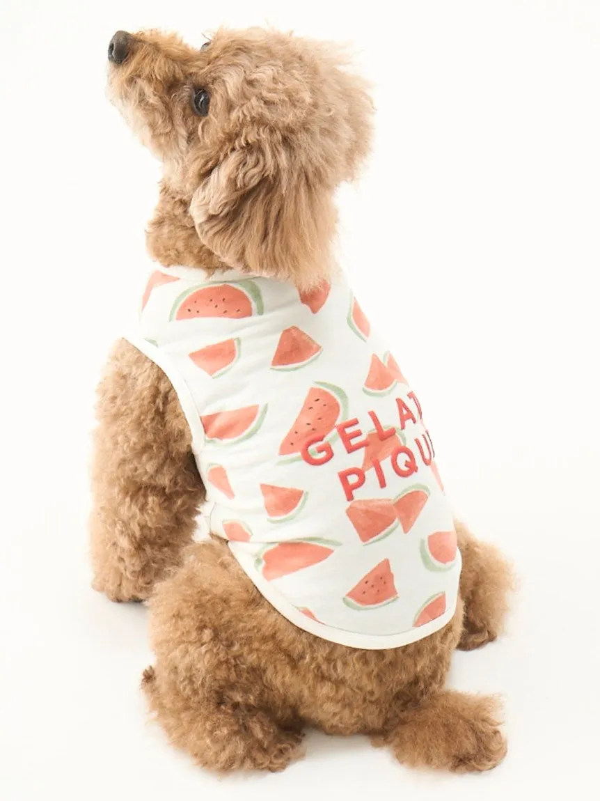 CAT&DOG Watermelon Motif COOL Pet Clothes