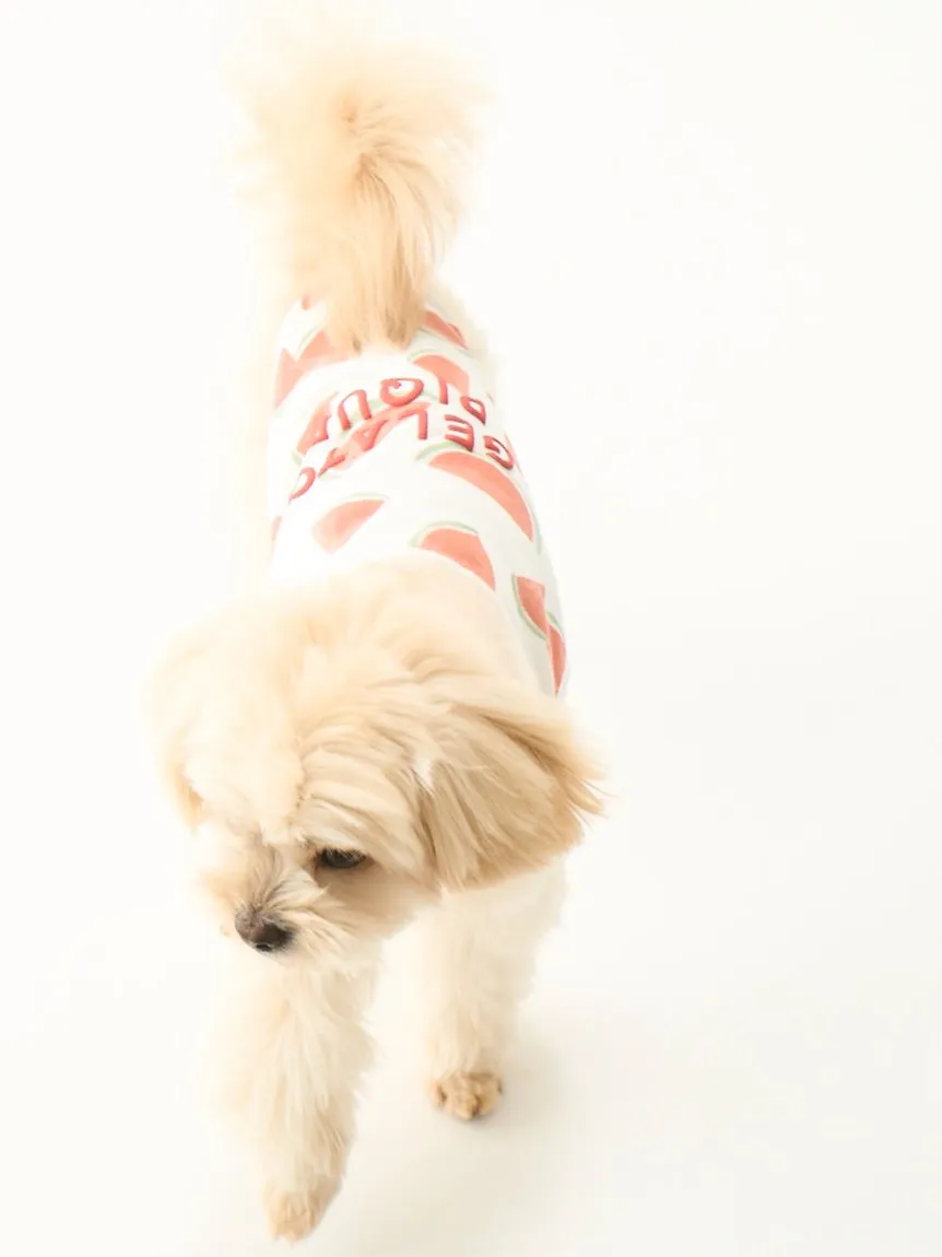 CAT&DOG Watermelon Motif COOL Pet Clothes