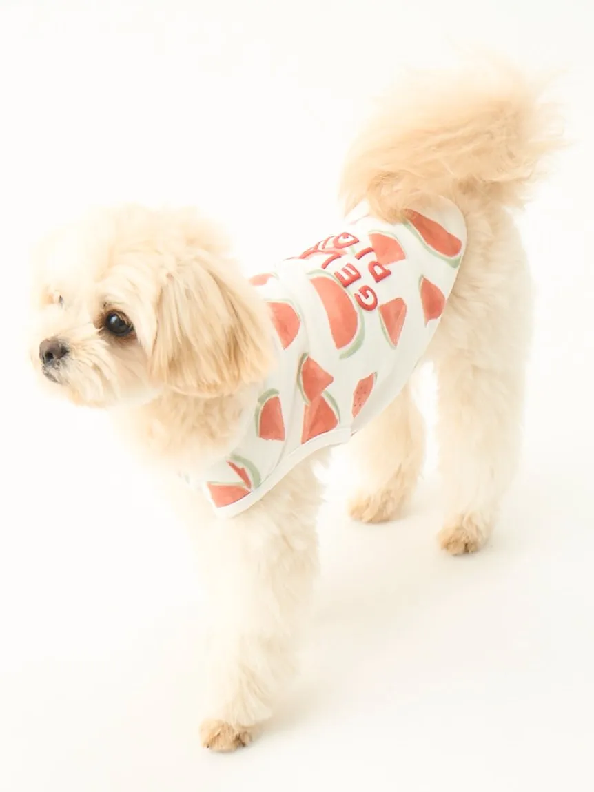 CAT&DOG Watermelon Motif COOL Pet Clothes