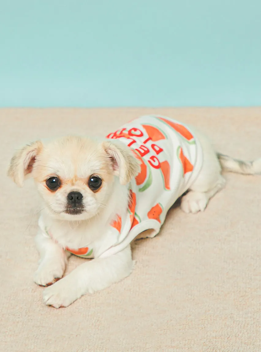 CAT&DOG Watermelon Motif COOL Pet Clothes