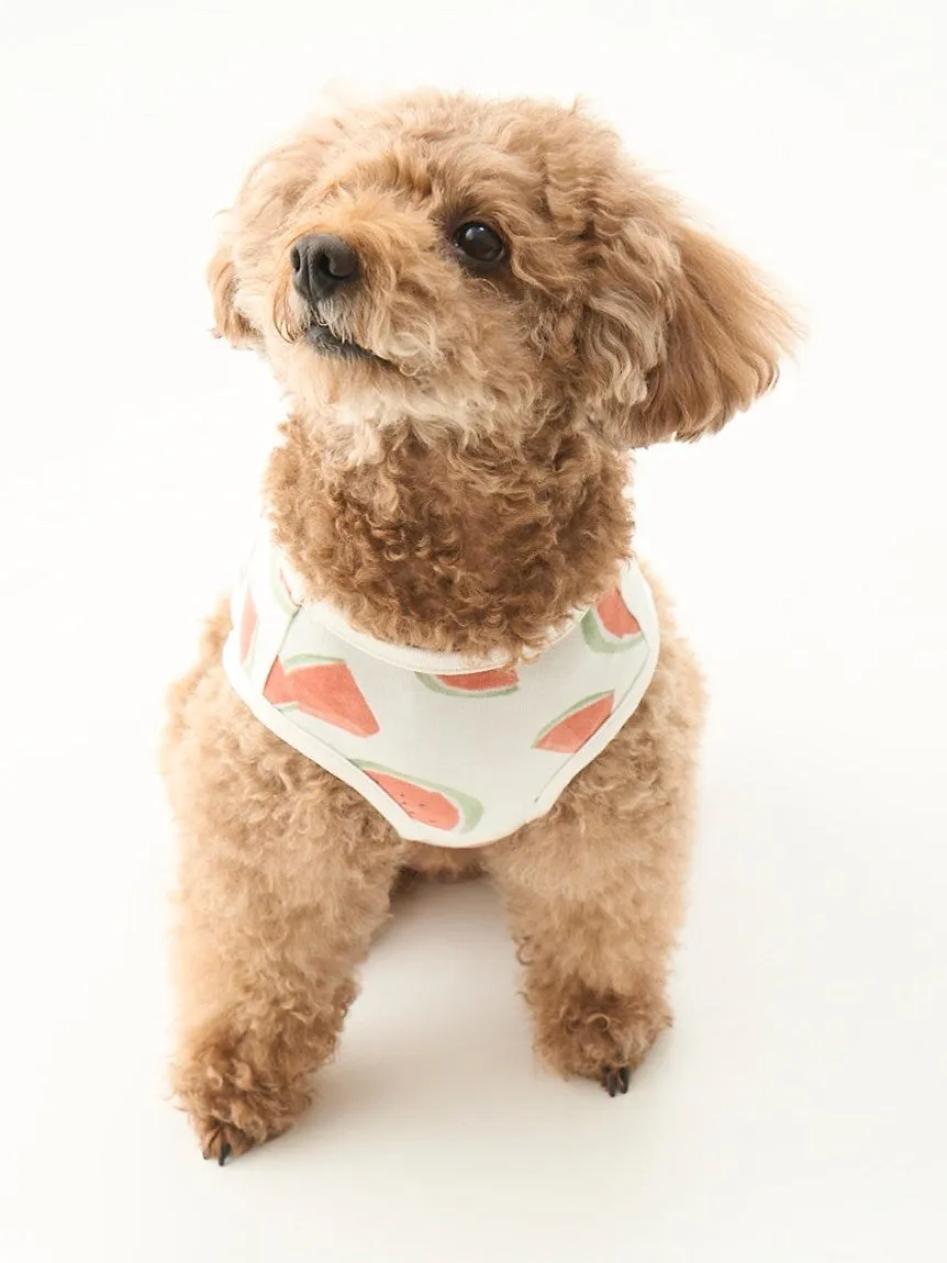 CAT&DOG Watermelon Motif COOL Pet Clothes