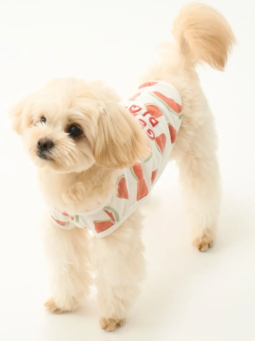 CAT&DOG Watermelon Motif COOL Pet Clothes