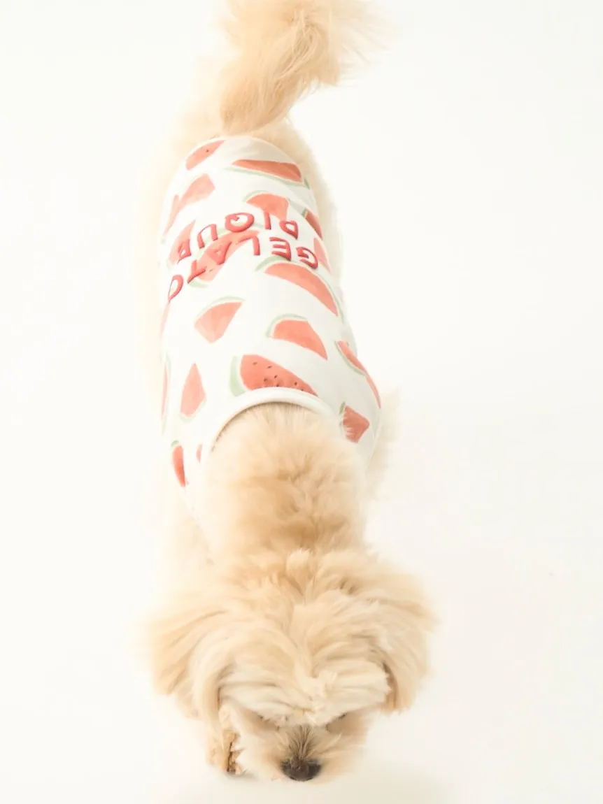 CAT&DOG Watermelon Motif COOL Pet Clothes