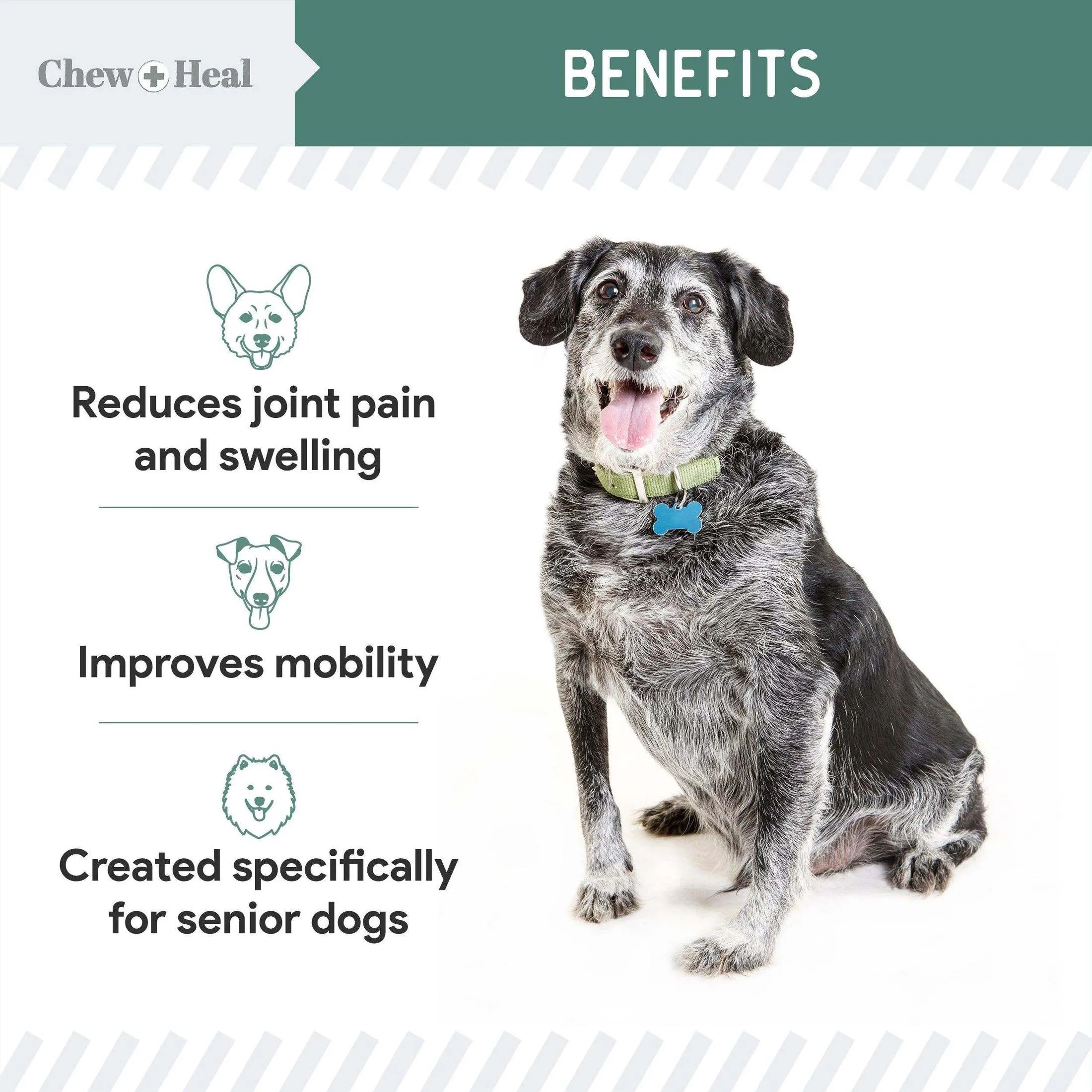 Chew   Heal Senior Hip And Joint Supplement For Dogs
