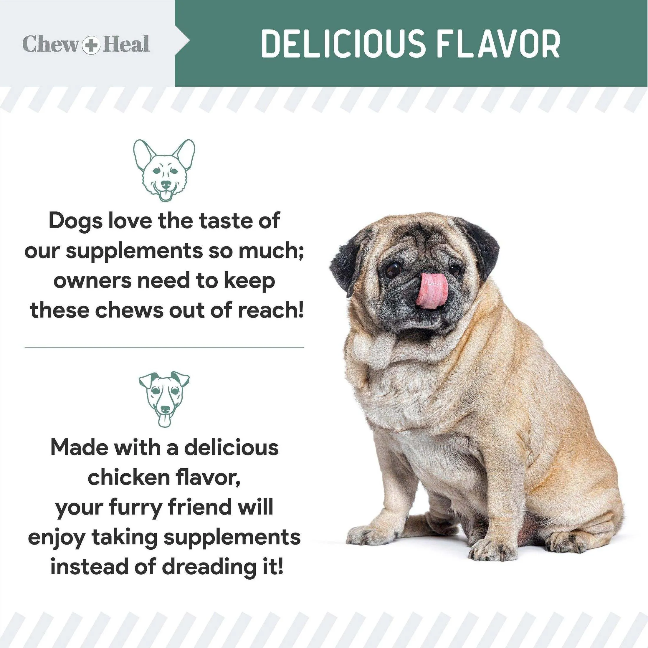 Chew   Heal Senior Hip And Joint Supplement For Dogs