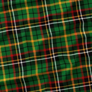 Christmas Green Plaid Waterproof Canvas, remnant 50cm