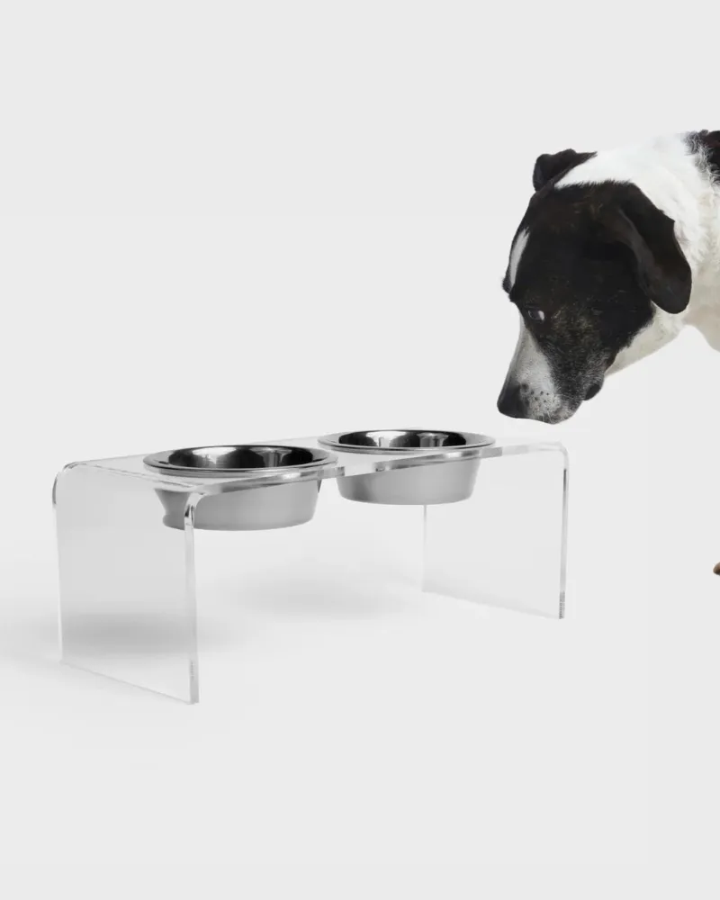 Clear Lucite Double Bowl Pet Feeder (Made in the USA) (Direct-Ship)
