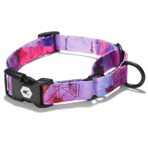 Coastal Drop Wolfgang Martingale DayDream Large Dog Collar 18-22"