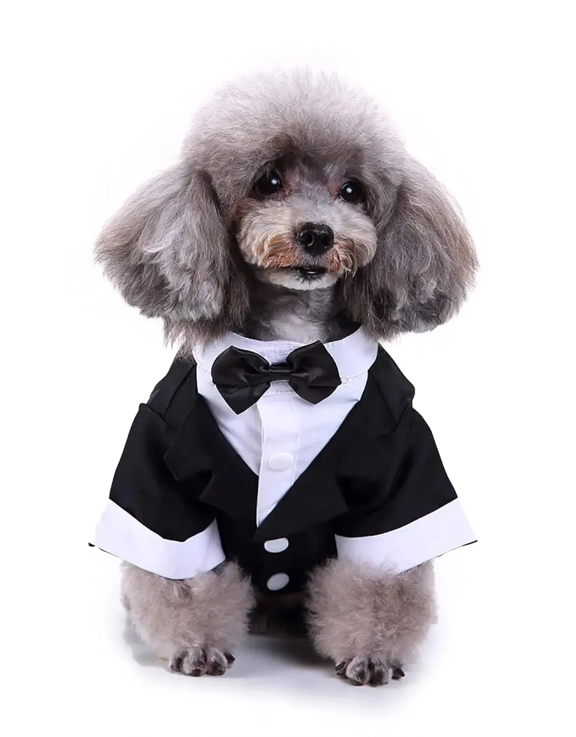Dog Wedding Outfit | Pet Party Wear | Black Tuxedo