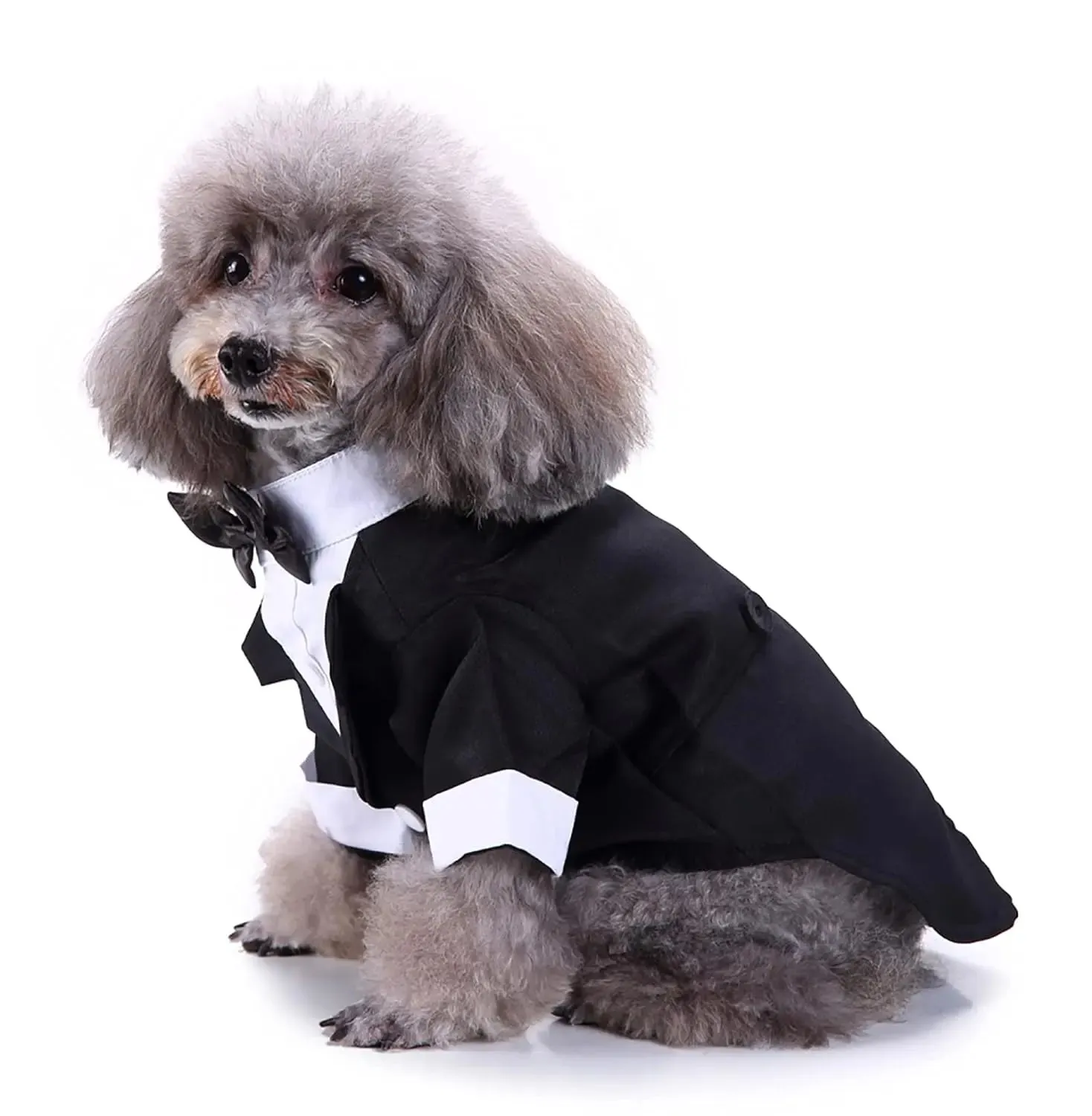 Dog Wedding Outfit | Pet Party Wear | Black Tuxedo