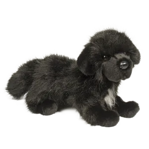 Douglas Bundy Newfoundland 16"