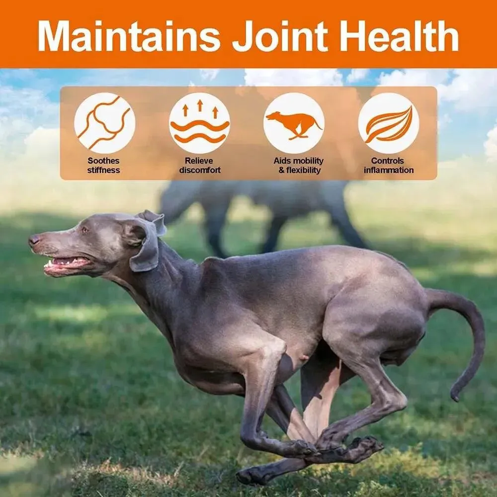 Hemp Hip Joint Glucosamine Chondroitin Dogs