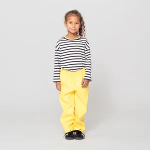 HIDDEN DRAGON | goldfinch yellow