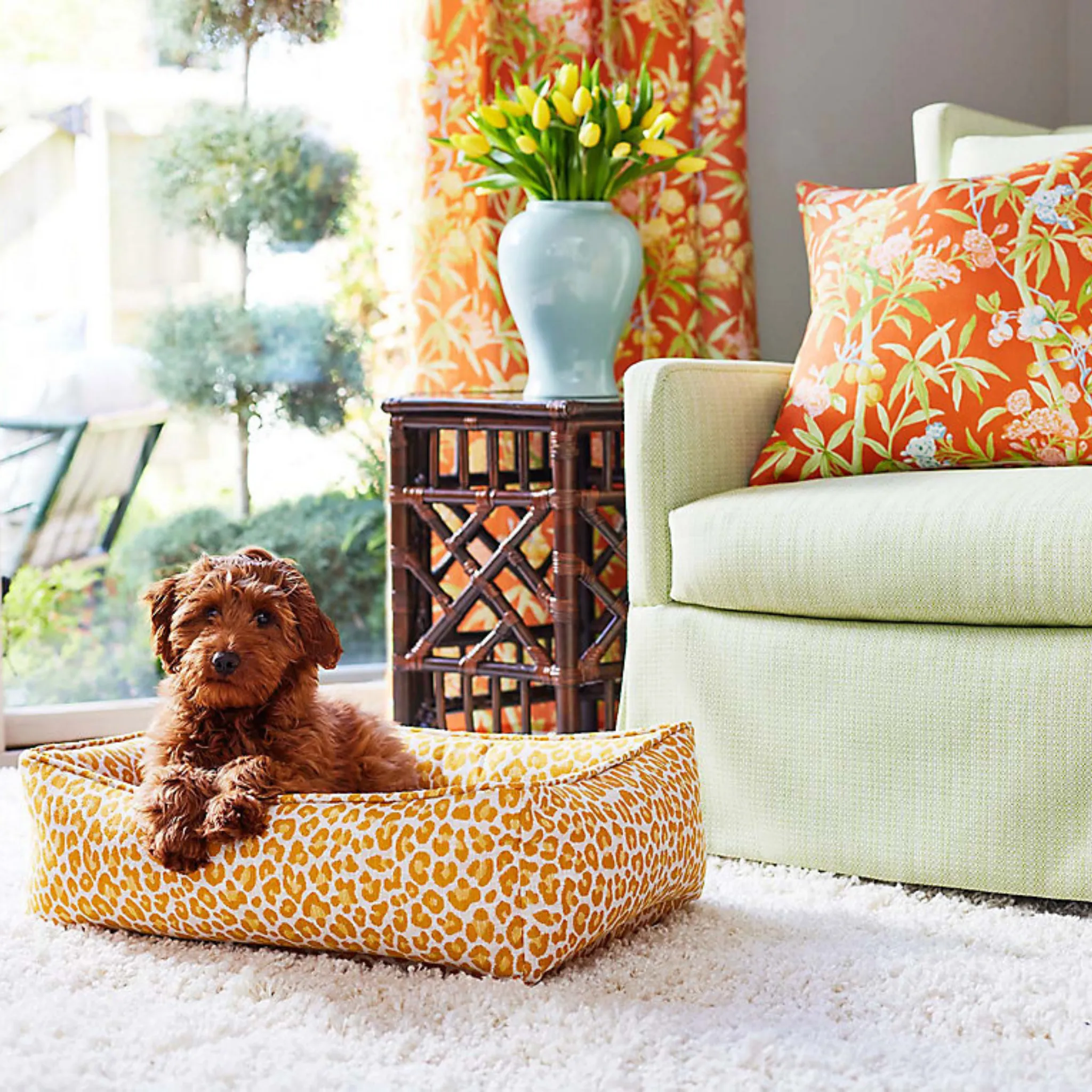 Ivy Green Backyard Bengal Print Small Dog Bed
