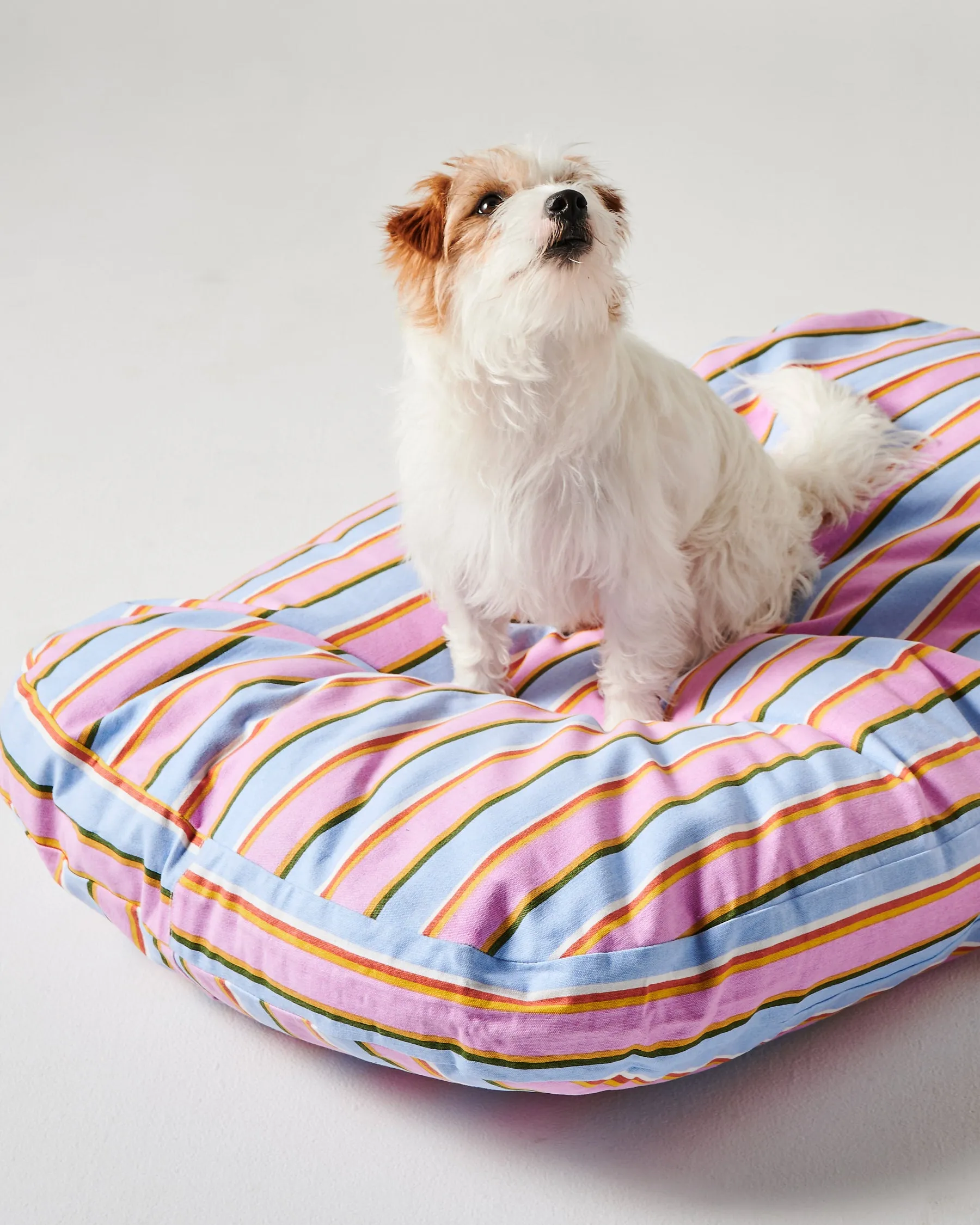 Kip & Co Fez Stripe Dog Bed