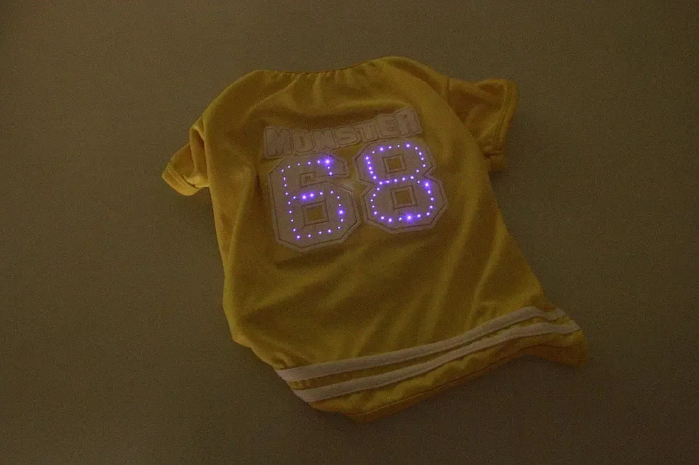LED pet clothes