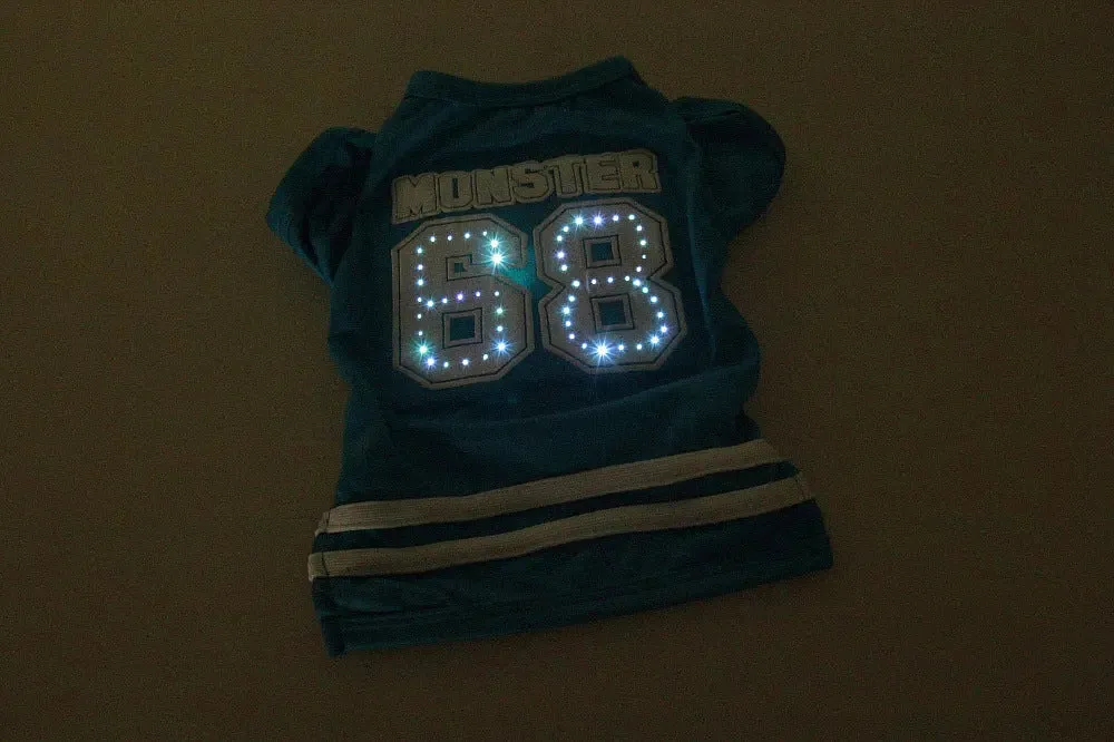LED pet clothes