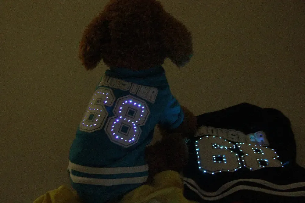 LED pet clothes
