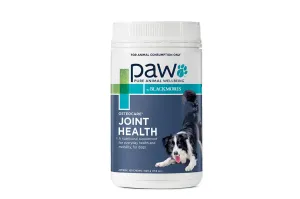 Paw by Blackmores Joint Health Chews for Dogs 500g - Joint Health and Tasty Treat