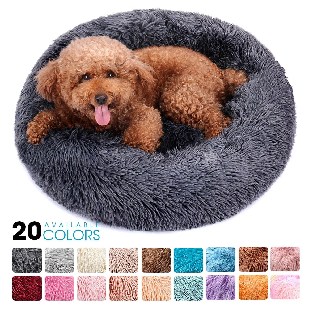 PET BED WITH COMFY DESIGN