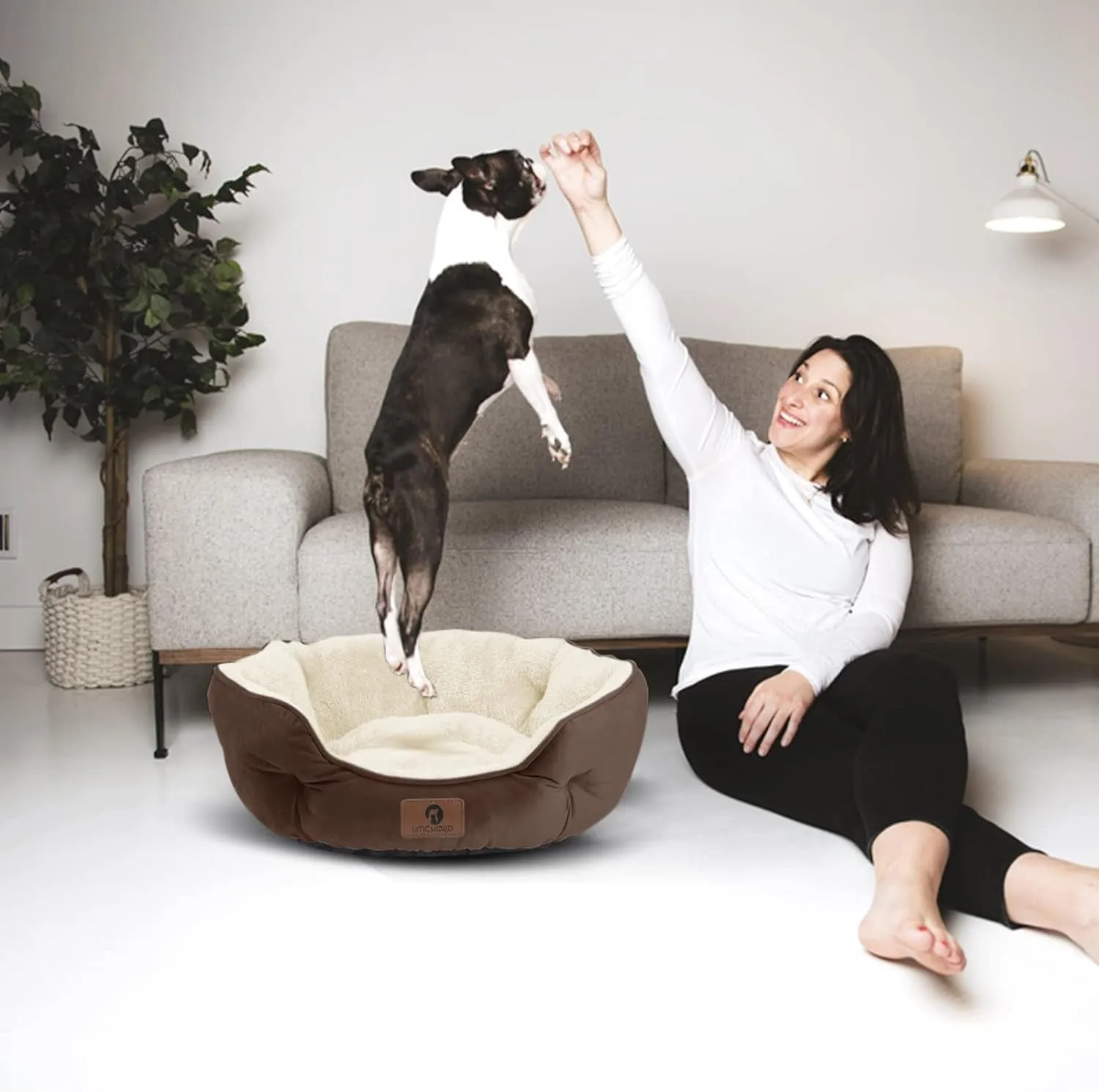 Pet Bed