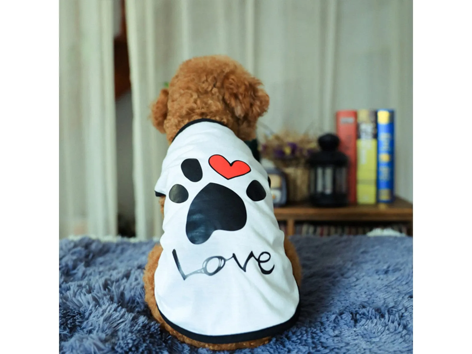 Pet Clothes Type 4