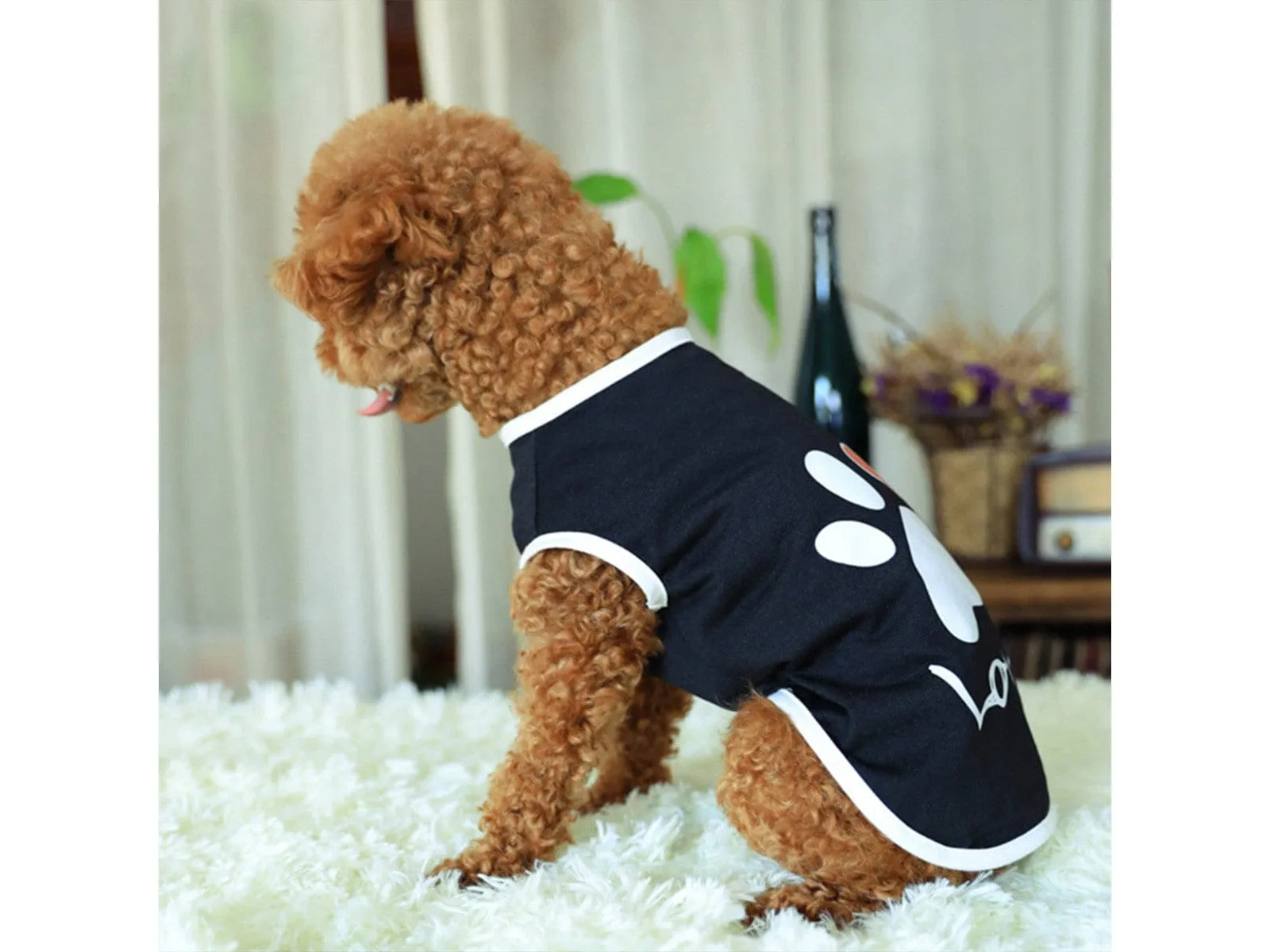 Pet Clothes Type 4