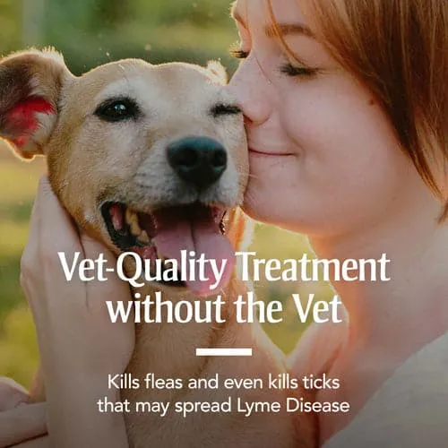 PetArmor® Flea & Tick Collar for Dogs
