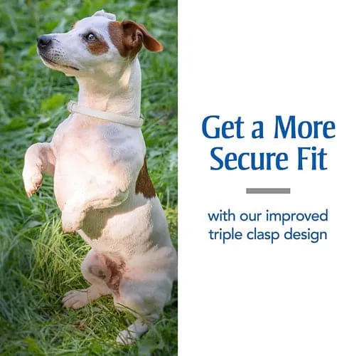 PetArmor® Flea & Tick Collar for Dogs